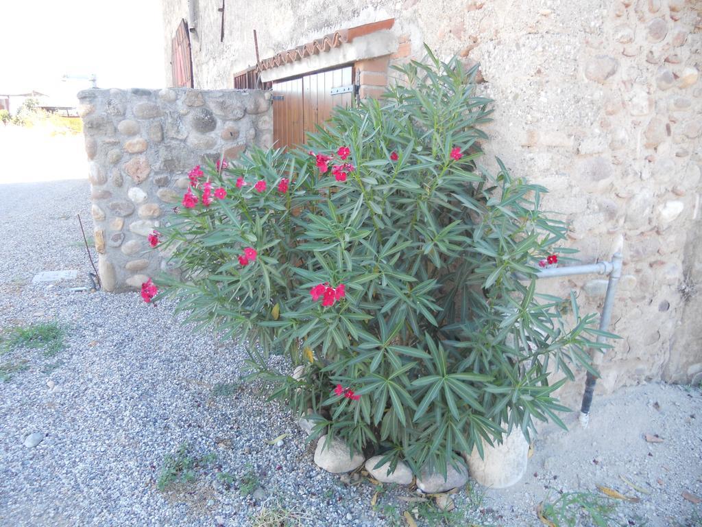 Agriturismo Le Mura Del Gherlo Valeggio sul Mincio Exterior foto